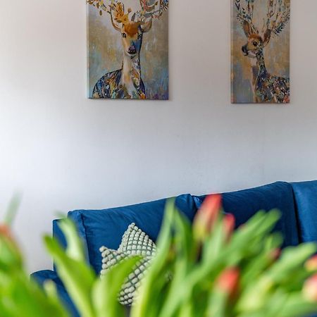 Apartament Lisowski Centrum Zakopane Dış mekan fotoğraf
